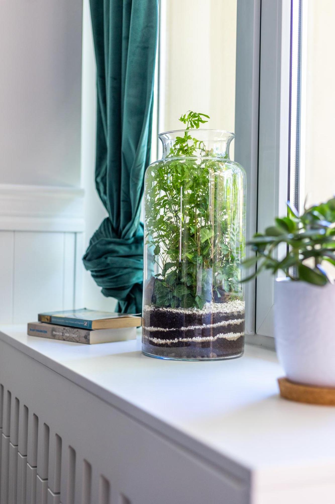Swidnicka Deluxe Suite Vratislav Exteriér fotografie